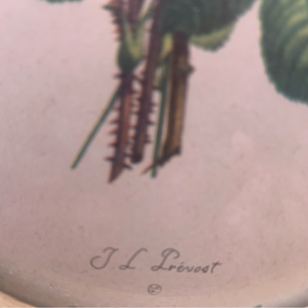 Vintage Framed Oval Botanical Print by Jean Louis (J.L.) Prevost Cottagecore Art - Picture 5 of 16